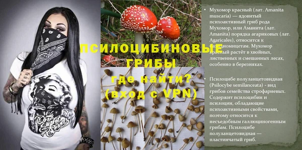 гашик Семилуки