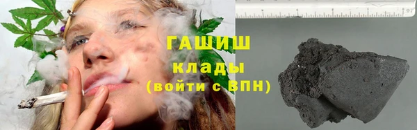 гашик Семилуки