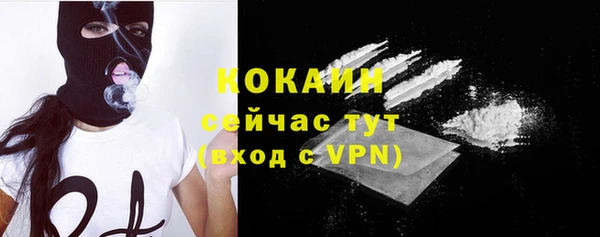 гашик Семилуки