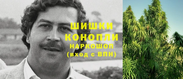 гашик Семилуки