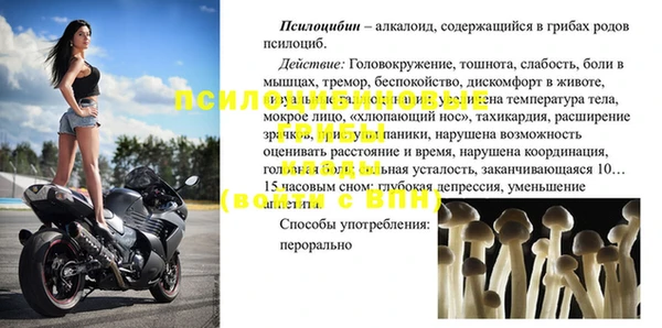 гашик Семилуки
