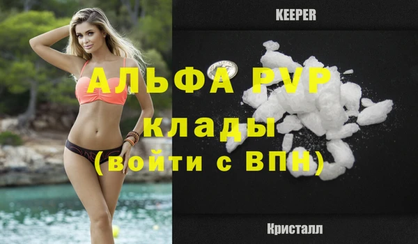гашик Семилуки