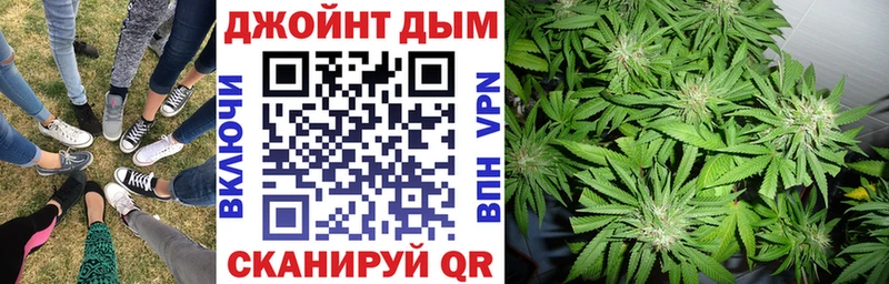 Купить где  Кондопога  Шишки марихуана индика 